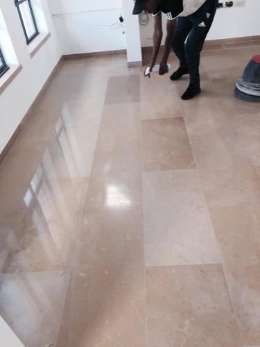 ניקיון דירות